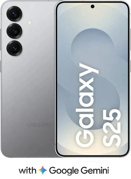 SAMSUNG S25 (12+256)